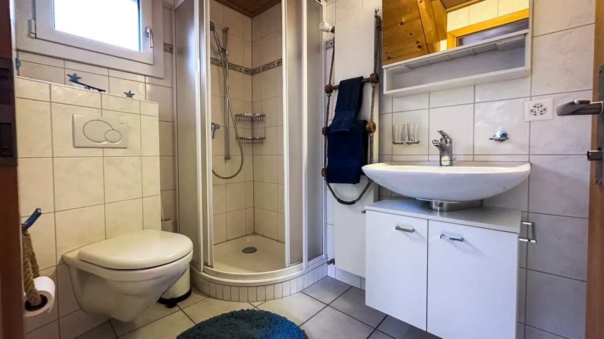 Badezimmer mit Dusche und WC