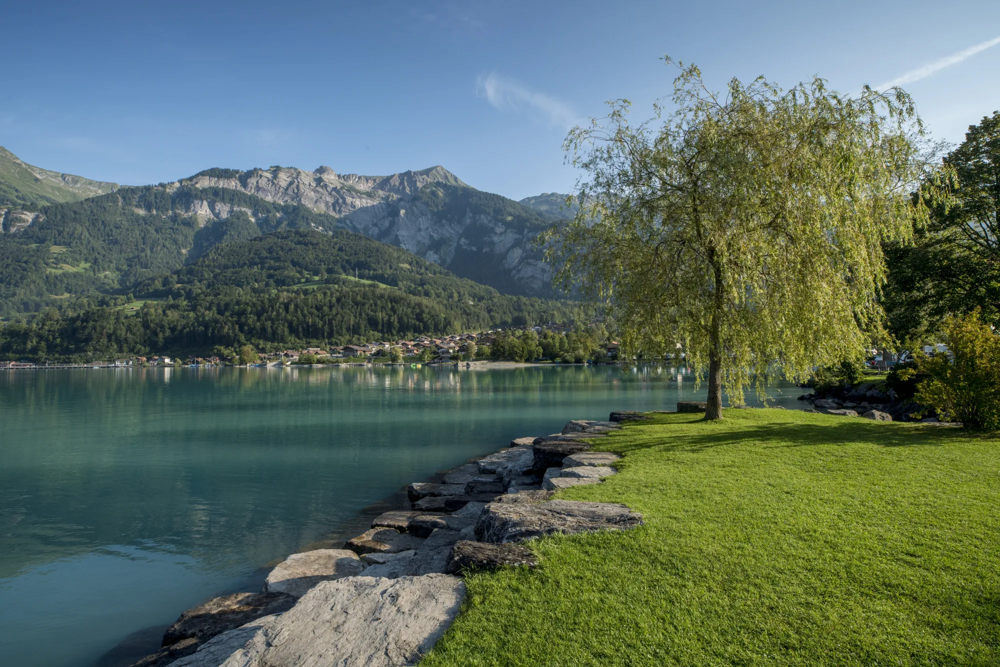 Camping Aaregg am Brienzersee